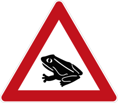 Amphibian migration