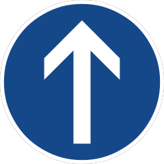 Mandatory direction: straight ahead